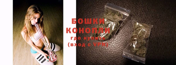 молекула духа Покровск