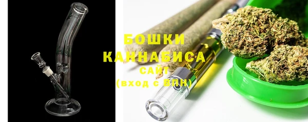 ПСИЛОЦИБИНОВЫЕ ГРИБЫ Липки